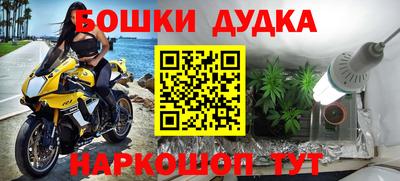 мяу мяу мука Апшеронск