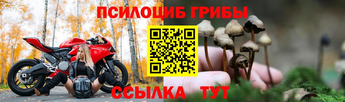 Псилоцибиновые грибы Cubensis Ахтубинск
