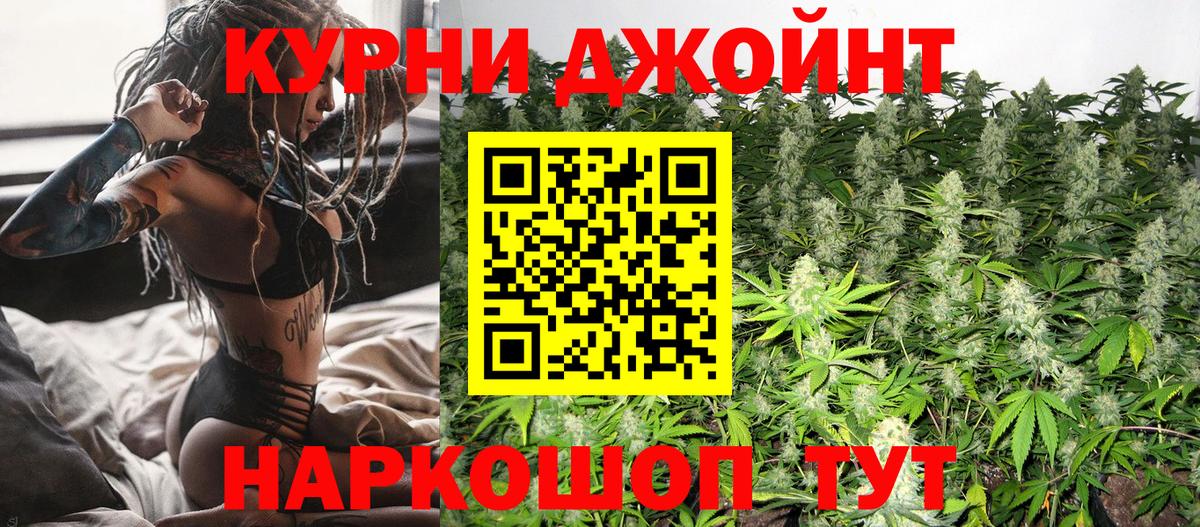 Шишки марихуана сатива Ахтубинск